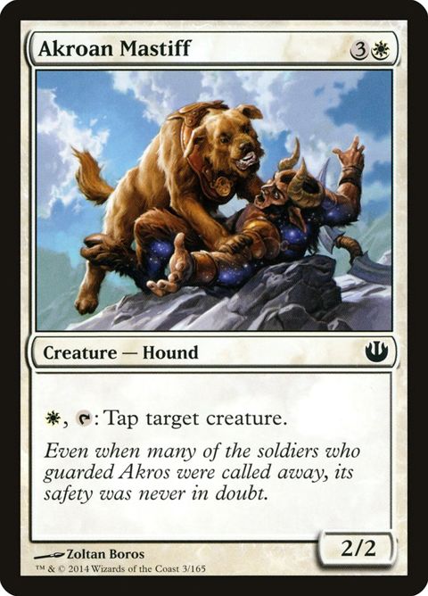 3-akroanmastiff.jpg