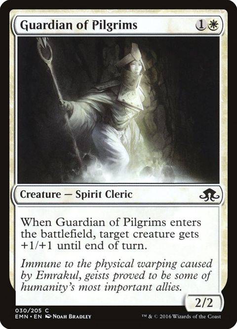 30-guardianofpilgrims.jpg
