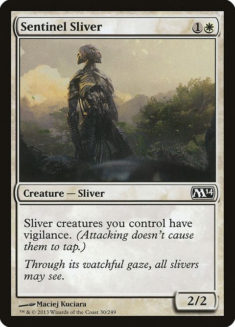 30-sentinelsliver.jpg