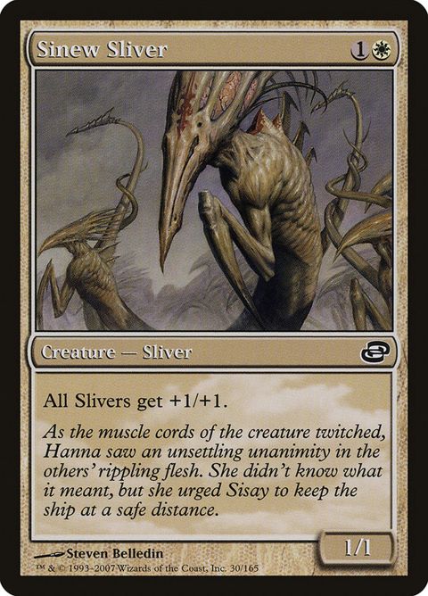 30-sinewsliver.jpg