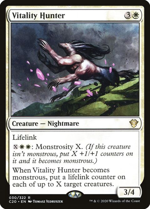 30-vitalityhunter.jpg