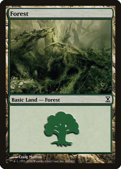 300-forest.jpg