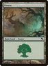 300-forest.jpg
