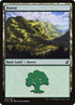 300-forest.jpg