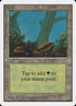 300-forest.jpg