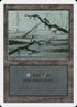 300-swamp.jpg