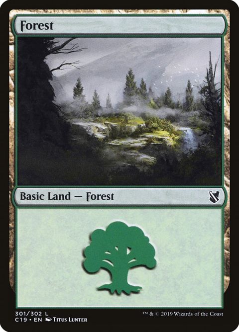 301-forest.jpg