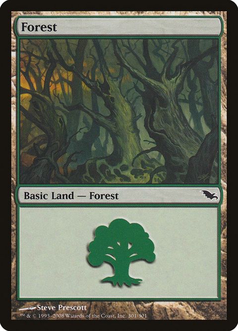 301-forest.jpg