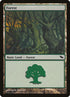 301-forest.jpg
