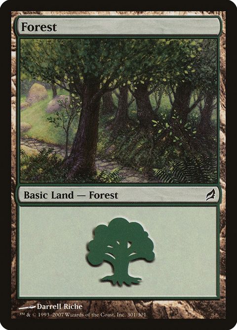 301-forest.jpg