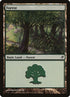 301-forest.jpg
