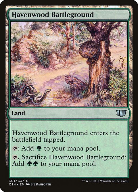 301-havenwoodbattleground.jpg