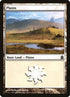 301-plains.jpg