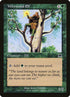 301-wirewoodelf.jpg