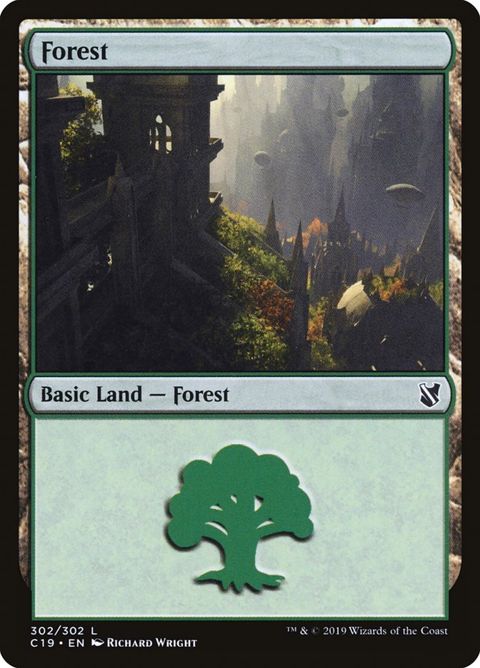 302-forest.jpg