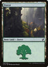 302-forest.jpg