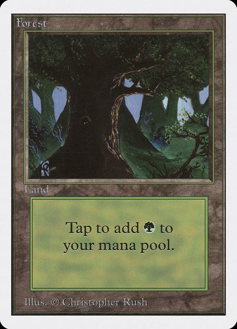 302-forest.jpg