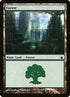 303-forest.jpg