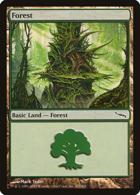 303-forest.jpg