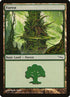 303-forest.jpg