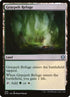 303-graypeltrefuge.jpg