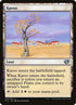 303-karoo.jpg