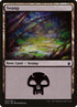 303-swamp.jpg