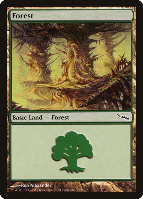 304-forest.jpg