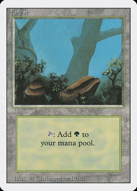 304-forest.jpg