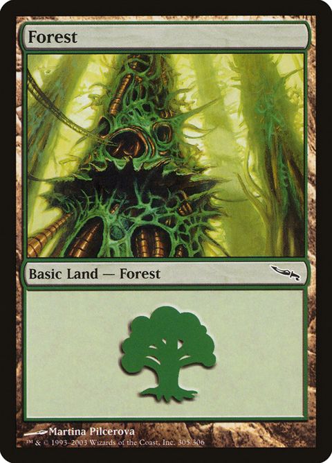 305-forest.jpg