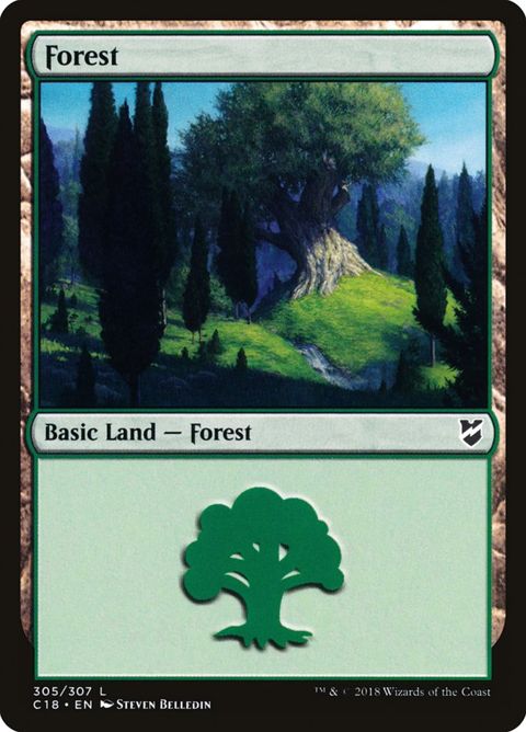 305-forest.jpg