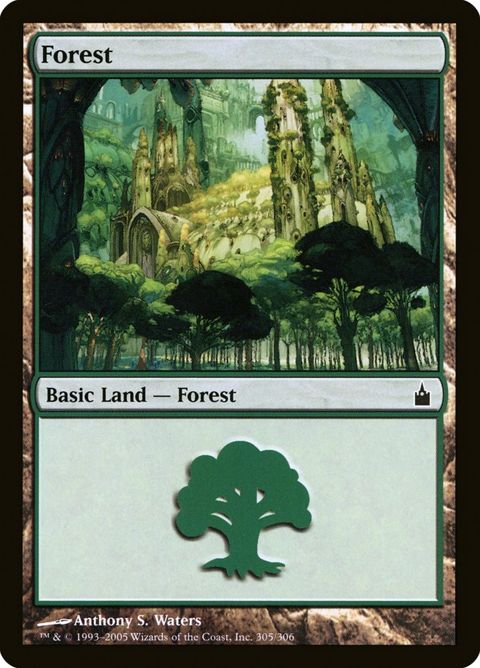 305-forest.jpg