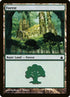 305-forest.jpg