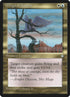305-wingsofaesthir.jpg