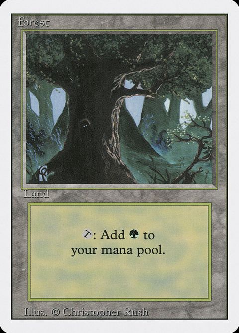 306-forest.jpg