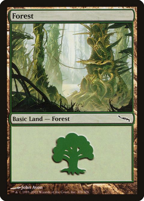 306-forest.jpg