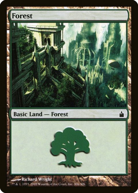 306-forest.jpg
