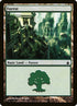 306-forest.jpg