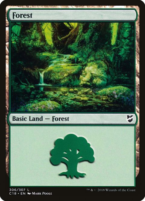 306-forest.jpg