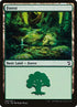 306-forest.jpg