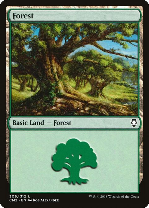 306-forest.jpg