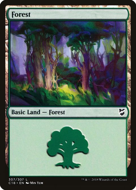 307-forest.jpg