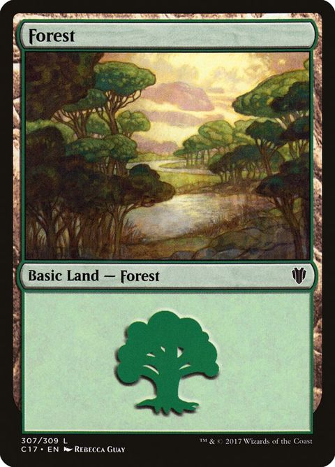 307-forest.jpg