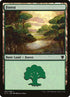 307-forest.jpg