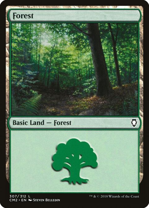 307-forest.jpg