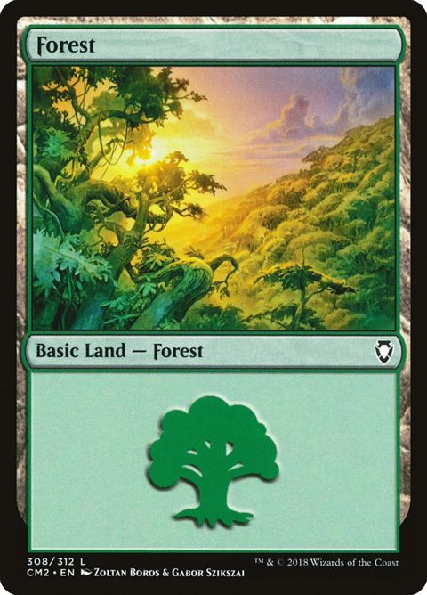 308-forest.jpg