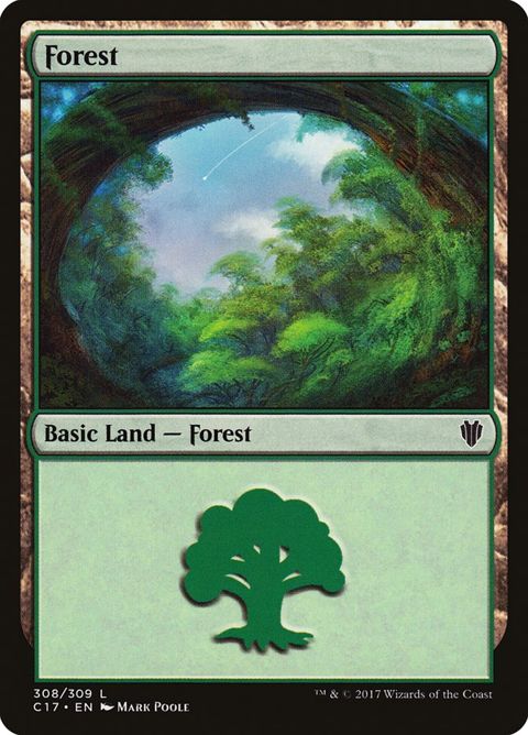 308-forest.jpg