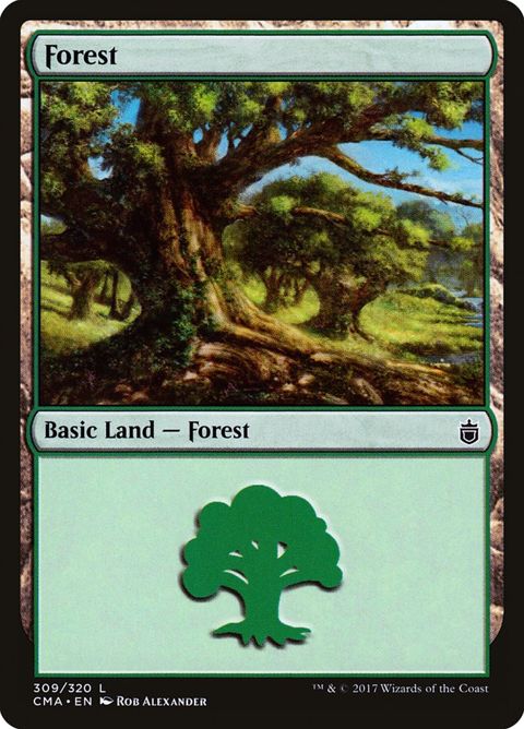309-forest.jpg