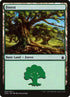 309-forest.jpg
