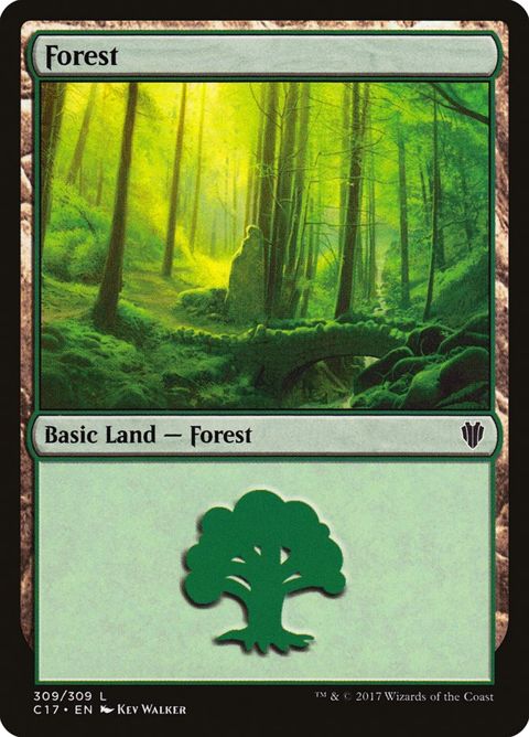 309-forest.jpg